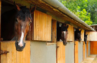 free Boltonfellend stable construction quotes